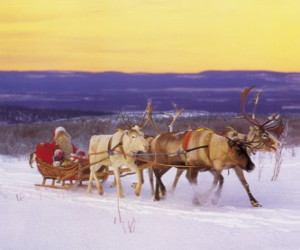 пазл Рождественские санях запряженных оленями и загружены с подарками и Санта Клауса